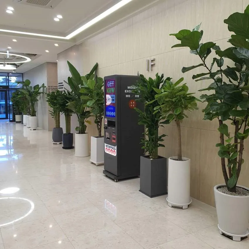 ソラゴ 明洞 - 写真2