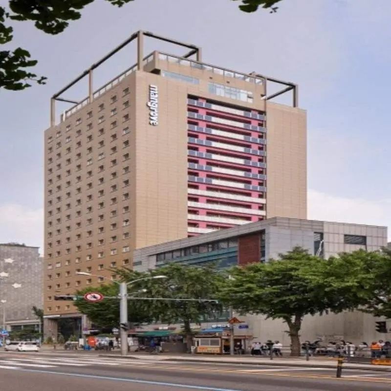 マングローブ シンソル