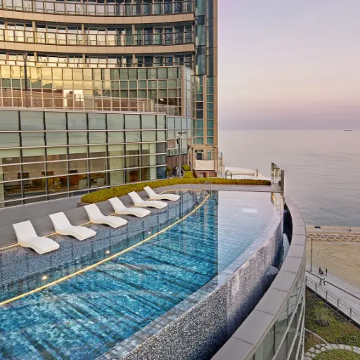 シグニエル釜山