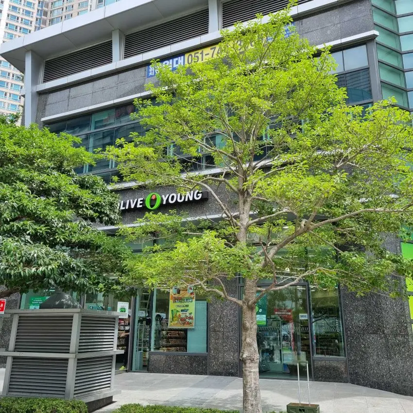 OLIVE YOUNG 釜山センタム店